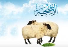 حكم الأضحية في عيد الاضحى