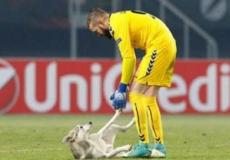بالفيديو: صداقة بين حارس مرمى وكلب اقتحم أرض الملعب