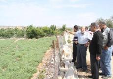 وزير الزراعة خلال تفقده للمحاصيل الزراعية المتضررة - ارشيف