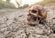 تاريخ الإنسان