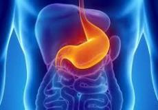 أطعمة تساعد في شفاء قرحة المعدة