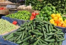 خضروات في أسواق غزة - تعبيرية