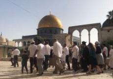 مستوطنون يقتحمون المسجد الأقصى