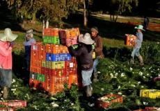 تعرف على قصة 5 رجال تايلانديين يعيشون في الداخل بظروف عبودية