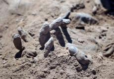 العثور على 70 جثة في حفرة جماعية بعد 30 عاما على التدخل الأميركي