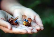 قطع فنيّة مميزة من قشور المكسّرات