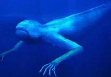 كائن غريب "توضيحية"