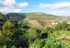 الطبيعة في الخليل