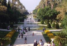 ذبح الطفل ريان