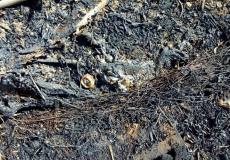 حرائق تلتهم دونمات زراعية في غلاف غزة 