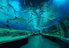 حديقة بحرية 