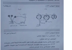 مصر: حقيقة تسريب إجابات امتحان الأحياء للصف الأول ثانوي