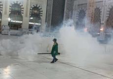 أسباب انتشار صراصير الليل في الحرم المكي بالسعودية