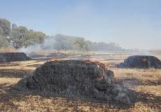 اندلاع حريق في غلاف غزة بفعل بالونات حارقة