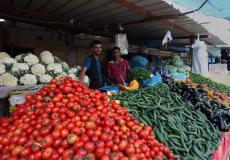 الخضروات في أسواق غزة