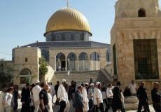 اقتحامات المستوطنون للأقصى متواصلة