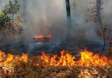 اندلاع النيران داخل بركس للأغنام