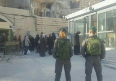 الاحتلال يعتقل فتاة بالخليل بزعم حيازتها سكينًا