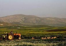 الأغوار - ارشيفية