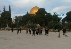 مستوطنون يقتحمون الأقصى بحراسات مشددة