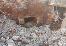 أعمال الحفر تظهر القبور في صفد