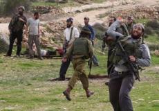 اعتداء المستوطنين جنوب الخليل