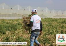 مشروع الاستطلاح الزراعي لجمعية الرياض الخيرية 