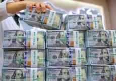 دولار أمريكي