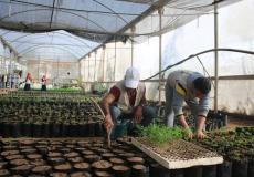 العمال في الحمام الزراعي