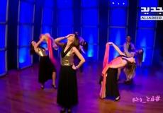 اغنية لبنانية تسيء للسوريين