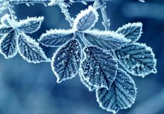 أجواء باردة جدا وجافة خلال الساعات المقبلة