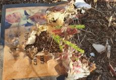 الاحتلال يعثر على عبوة مزروعة داخل كتاب في غلاف غزة