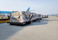 كواشف فحص كورونا