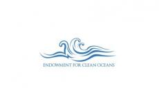 سفيرة المحيط في هولندا تنضمّ إلى لجنة روّاد الأعمال للتحكيم في صندوق الهبات من أجل محيطات نظيفة