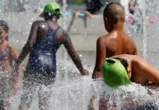 الحرائق والحر يذيب الأسفلت فى أوروبا وفيينا تزود الكلاب بـأحذية خاصة