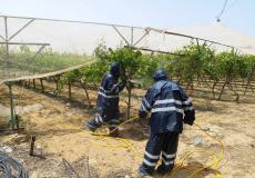 الزراعة ترش محصول العنب