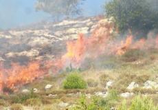 مستوطنون يحرقون أشجار زيتون جنوب نابلس