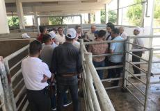 الزراعة في غزة تنظم جولة على مزارع الأضاحي