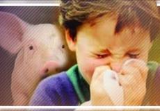 وفاة خمسة أشخاص بإنفلونزا الخنازير بتونس