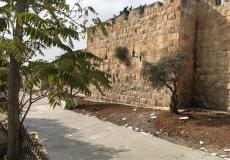 المقبرة اليوسفية