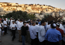 مستوطنون يقتحمون برك سليمان في بيت لحم