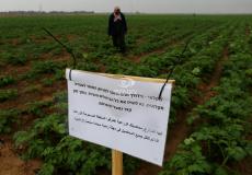 الاحتلال يهدد مزارعي حدود قطاع غزة ويضع لافتات تحذيرية