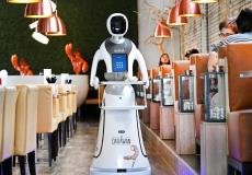 شاهد مطعم هولندي يتخطى أزمة كورونا بالروبوتات