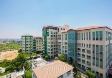 الكلية الجامعية للعلوم التطبيقية