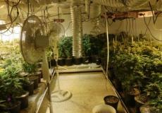 اعتقال مشتبه به بإقامة مختبر للسموم والمخدرات بمنزله في تل أبيب