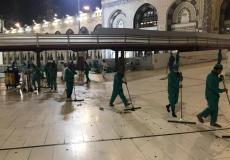 مكافحة صراصير الليل في الحرم المكي