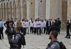 مجموعات من المستوطنين في باحات المسجد الأقصى