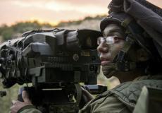 وحدة 3060 في الجيش الاسرائيلي