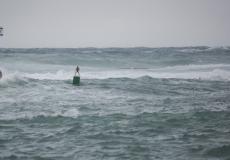 صورة توضيحية 
