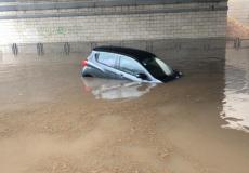 سيول في إسرائيل